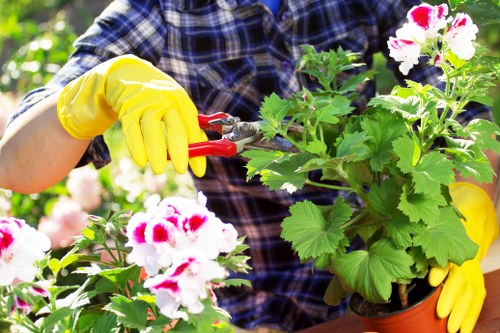The image shows a gardener wearing yellow gloves using red-handled pruning shears to trim a lush green potted plant with variegated pink and white flowers, set against a vibrant, sunlit outdoor garden backdrop. The garden features dense foliage, with a variety of plants and flowers, suggesting an organized and well-maintained landscaped yard in Hammersmith, with natural light illuminating the scene. The scene emphasizes careful pruning and gardening work typical of professional landscaping services offered by companies like Landscapers Hammersmith, focused on outdoor plant care and garden maintenance in the local area.
