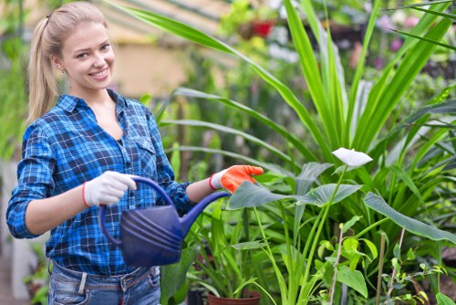 A young woman in a blue checkered shirt, smiling and wearing gardening gloves, is standing in a lush outdoor garden surrounded by tall green plants, including large-leaved foliage and flowering plants. She is holding a blue watering can, watering the plants that are positioned on a well-maintained lawn area with visible soil beds and small potted plants nearby. The background features various flowering plants and dense greenery, indicative of a vibrant, landscaped garden typical of properties in Hammersmith. The scene suggests outdoor gardening activities in mild weather, with natural daylight highlighting the rich textures and shades of green, emphasizing the importance of professional gardening and landscaping services provided by Landscapers Hammersmith in the local area.