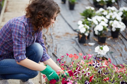 Customer complaint review for landscaping work