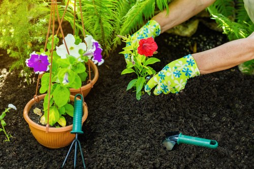 In a well-maintained outdoor garden space, a gardener wearing colorful floral-patterned gloves is planting a vibrant red flower into dark, freshly turned soil. Several hanging terracotta pots with blooming purple and white petunias are suspended nearby, adding colour and visual interest to the garden. To the right, a small hand-held gardening tool rests on the soil, ready for use. In the background, lush green ferns and other foliage create a dense, natural backdrop, indicating a thriving, mature garden environment typical of Hammersmith. The scene captures a moment of outdoor gardening activity, emphasizing the care and attention involved in maintaining a healthy, inviting garden landscape, which supports landscaping or gardening services in the area.