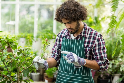 In a bright, well-maintained greenhouse environment, a young man with curly dark hair, wearing a green striped apron over a plaid shirt and gardening gloves, is carefully examining a small flowering plant with pink buds. The greenhouse features clear glass panels allowing natural light to illuminate lush greenery, including various potted plants and shrubs arranged along shelves and the floor. The background shows vibrant foliage, with some climbing plants hanging down and others forming dense hedges, creating a rich, layered appearance typical of professional gardening and landscaping environments in Hammersmith, London. The scene captures a moment of precise plant care, supporting gardening services that involve plant health inspection, pruning, and cultivation. The natural tones of green, brown, and subtle pinks contrast with the bright, transparent greenhouse structure, demonstrating a professional approach to outdoor and indoor gardening maintenance typical of Landscapers Hammersmith, specializing in bespoke garden care and plant management in the local area, including postcode W6.
