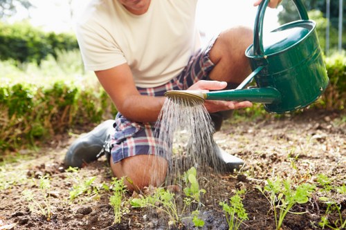 Lush green lawn and diverse plant arrangements designed by Landscapers Hammersmith