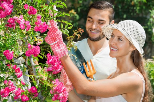 Safe and efficient tree removal process in Hammersmith