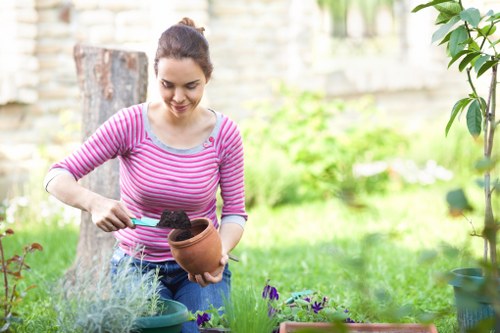 A young woman with dark hair tied back, wearing a pink and white striped long-sleeve top, is gardening outdoors in a lush, well-maintained backyard. She is kneeling on the grass and holding a terracotta flowerpot filled with dark soil, with her right hand using a small trowel. Surrounding her are various green plants, including flowering purple and green foliage in the foreground, and a variety of bushes and shrubs in the background. The garden features a neatly trimmed lawn, bordered by flower beds with wooden edging, and a stone wall with a tree trunk visible in the background. The scene is illuminated by natural daylight, suggesting a bright, clear day, with the overall environment appearing vibrant and inviting. This natural setting and gardening activity align with outdoor maintenance and landscaping services offered by Landscapers Hammersmith in the Hammersmith area, INFERRING the postcode W6, West London.