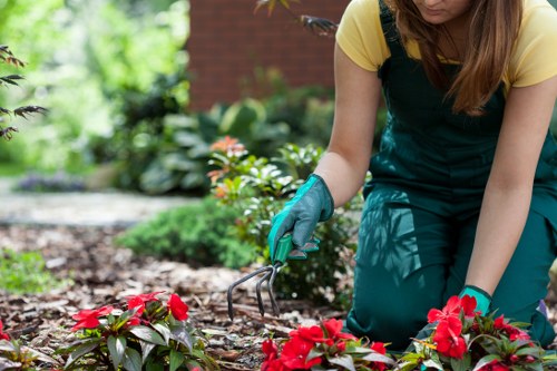 Landscapers keeping a site tidy while managing tools and garden waste