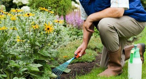 A gardener in a blue shirt and beige trousers kneeling on a well-maintained lawn, watering a flower bed with a small blue watering can. The garden features a neatly edged flower bed filled with various blooming plants, including yellow and purple flowers, set alongside lush green grass. In the background, there are dense shrubs and trees, contributing to a lush, rural outdoor environment typical of residential properties within Hammersmith or nearby postcode areas. The scene is lit by natural daylight, suggesting a clear or partly cloudy day, with a focus on outdoor gardening activities. A white garden spray bottle is placed on the grass nearby, indicating ongoing garden maintenance. The overall setting reflects professional gardening services provided by Landscapers Hammersmith, emphasizing careful attention to garden layout, plant health, and outdoor aesthetics, suitable for supporting lawn care and garden landscaping in residential gardens in London.