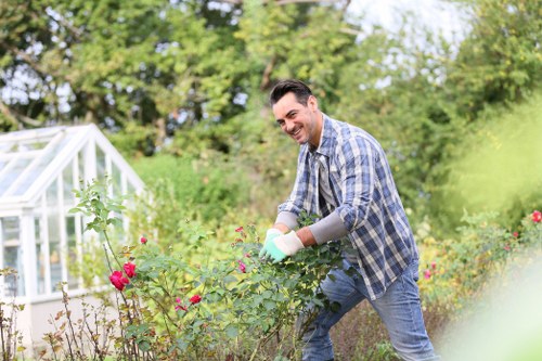A male gardener with dark hair, wearing a blue and white checked shirt and gloves, is tending to a flowering shrub in a well-maintained outdoor garden. The garden includes a lawn with dense, green grass in the foreground, bordered by a variety of flowering plants with pink blossoms. To the left, a white greenhouse with glass panels is partially visible, blending into the lush, leafy backdrop of mature trees and shrubs, suggesting a private backyard garden in Hammersmith. The scene is illuminated by natural daylight, with bright, clear weather enhancing the vibrant colours of the flowers and foliage. The overall layout features a neatly arranged flower bed, edging the lawn area, with the gardener actively pruning or inspecting the plants, indicating ongoing garden maintenance typical of professional landscaping services by Landscapers Hammersmith focused on enhancing outdoor spaces with planting and lawn care in the local area.