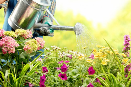 Maintaining lawn tools for optimal mowing