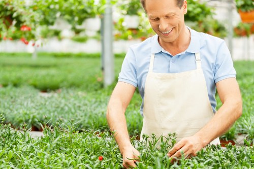 Experienced landscapers planning a garden layout