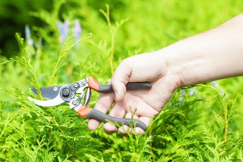 Close-up view of a person's hand using a small pruning shear with black and orange handles to trim a green plant in a garden. The garden features dense, vibrant foliage with various shades of green, including ferns and other leafy plants. The background shows blurred greenery and hints of a bright, natural outdoor environment under daylight conditions. The garden appears well-maintained with healthy, lush plant growth, situated in a landscaped outdoor space possibly within a residential area in Hammersmith. The scene emphasizes gardening tools and active plant maintenance, reflecting the services of a professional landscaper or gardening specialist operating in the Hammersmith area.