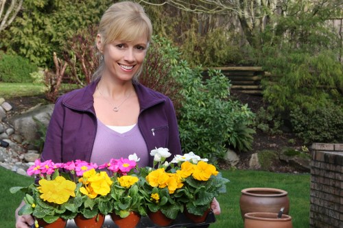 A woman with blonde hair wearing a purple jacket and white top stands outdoors in a well-maintained garden, holding a black tray with multiple small terracotta pots filled with bright yellow, pink, and white flowering plants. The garden behind her features lush green grass, a variety of shrubs, and trees, with a brick and wooden staircase partially visible in the background. To her right, there are two empty terracotta pots placed on the grass, indicating gardening activity. The scene suggests a gardening or landscaping session on a mild, sunny day, aligned with services offered by Landscapers Hammersmith for enhancing outdoor spaces in Hammersmith and the surrounding area.