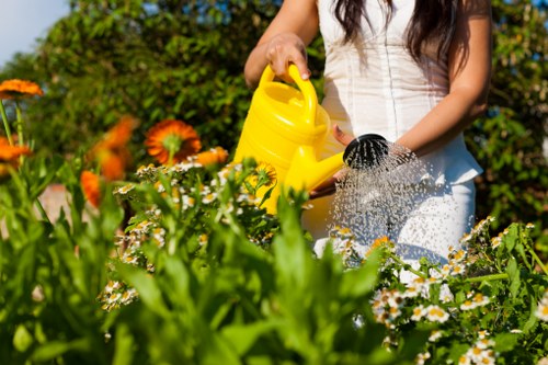 Seasonal garden care in Hammersmith