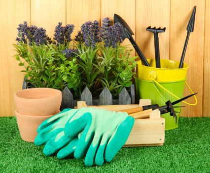 The image displays a neatly organized garden workspace set on artificial grass, likely in a residential garden in Hammersmith. In the background, there are several potted lavender plants with purple flower spikes and lush green foliage, arranged in a line along a wooden fence or panel. In the foreground, gardening tools are visible, including a bright yellow plastic bucket containing a garden spade and a hand trowel, with the handles resting upright. Next to the bucket, there are light-colored terracotta pots, a wooden toolbox, and a pair of protective gardening gloves in a vibrant turquoise color. The overall arrangement is clean and well-maintained, with natural daylight illuminating the outdoor space, suggesting mild weather. The scene emphasizes gardening activities such as planting, potting, and general outdoor maintenance, aligning with services offered by Landscapers Hammersmith in the Hammersmith area, providing effective lawn and garden care solutions within a typical suburban outdoor setting.