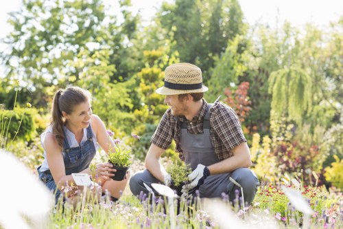 A gardener and a woman are tending to a garden in a well-maintained outdoor space, with lush greenery and trees in the background. The gardener, wearing a straw hat, plaid shirt, and gardening gloves, is crouched down holding a small plant, while the woman, dressed in a sleeveless top, smiles as she sits next to him, holding a plant pot. The garden features a mix of flowering plants, including lavender or similar purple blooms in the foreground, with neatly edged flower beds and a backdrop of vibrant shrubbery. The natural lighting suggests a sunny day with clear skies, highlighting the healthy, green grass and the various textures of the soil, paving, and plant foliage. This scene reflects a well-maintained residential garden, typical of outdoor landscaping and gardening services in Hammersmith or nearby London areas, demonstrating the active process of planting and garden care that Landscapers Hammersmith provides to enhance outdoor spaces for local clients.