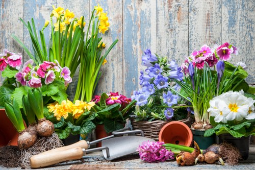 The image depicts a variety of potted flowering plants arranged on a rustic wooden background, featuring yellow daffodils, pink primulas, purple geraniums, and white primroses, all in different sizes and styles of pots including terracotta and woven baskets. In front of the plants are gardening tools such as a small hand trowel, a garden fork, and a watering can, along with flower bulbs and soil, suggesting recent planting activity. The scene is outdoors, with natural light illuminating the vibrant colours of the flowers and greenery, creating a lively and well-maintained garden display that aligns with gardening services offered in the Hammersmith area or nearby London locations.